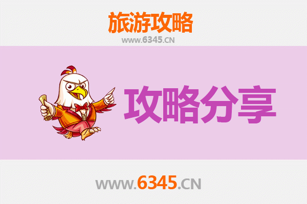 甘孜至湄洲岛旅游攻略：跟团还是自由行？资深博主深度解析